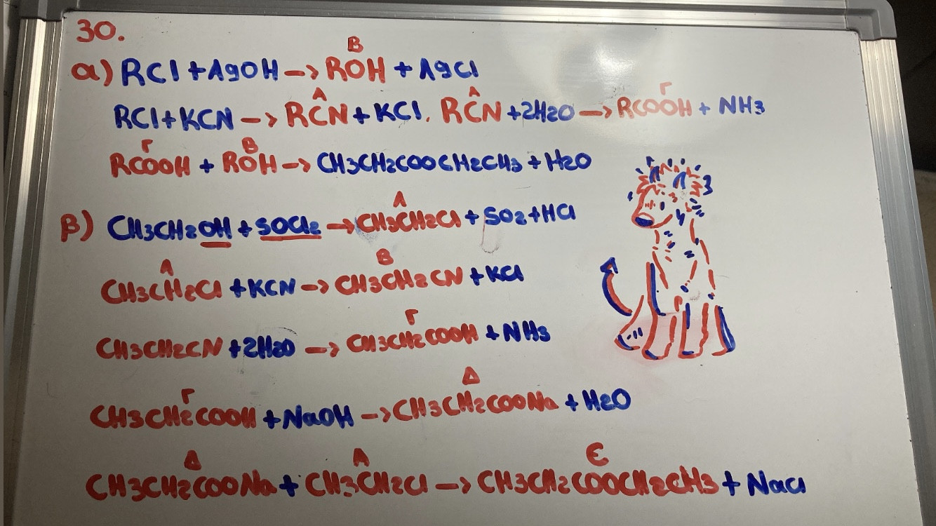 065A8150-E717-4141-A0D8-9689A03443B4.jpeg