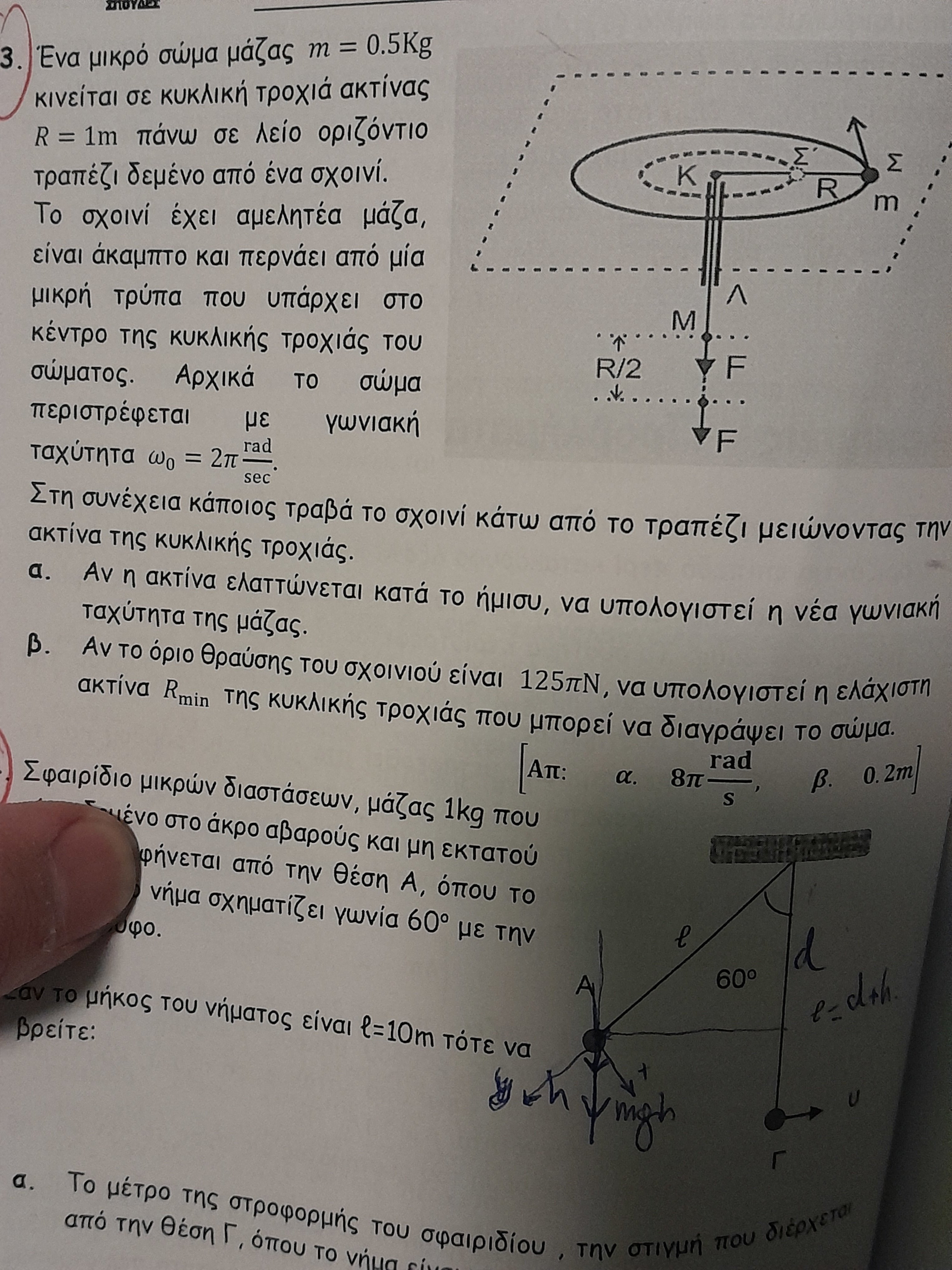 1000003596.jpg