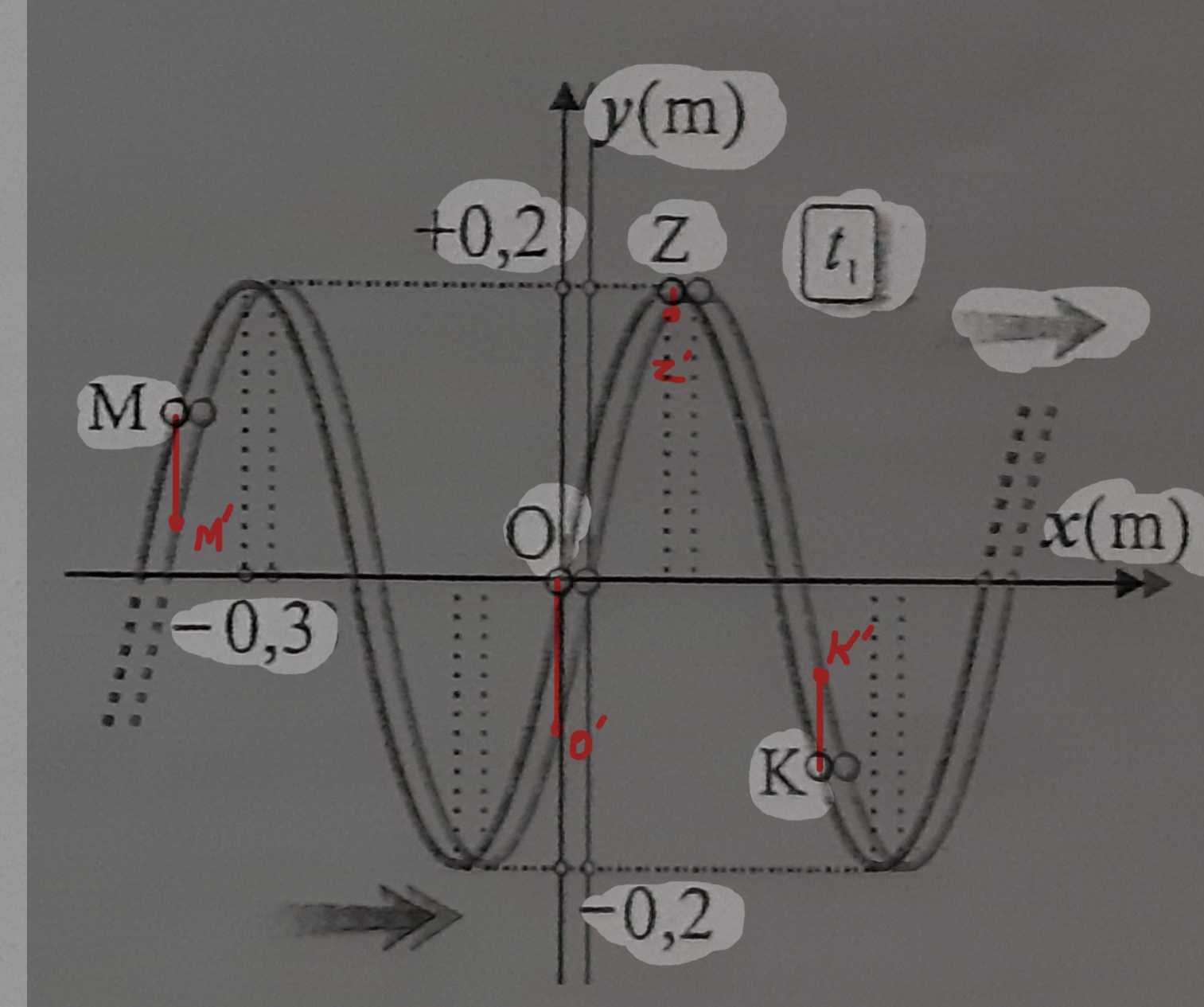 1669055229470.png