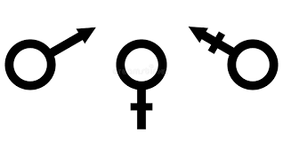 1685540607978.png