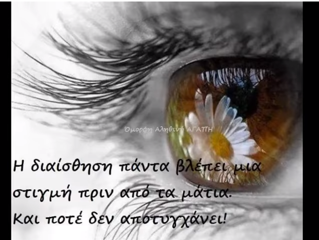 1696445864557.png