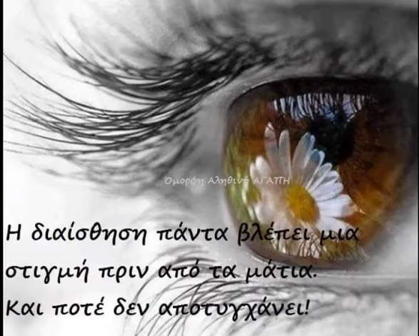 1700989830629.png