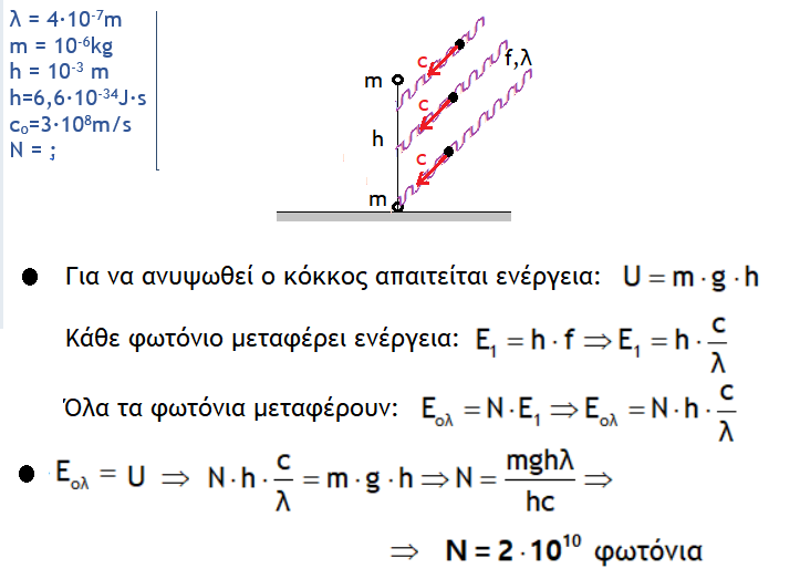 1709389135393.png