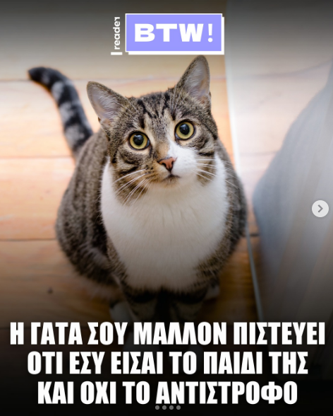 1756371273260.png