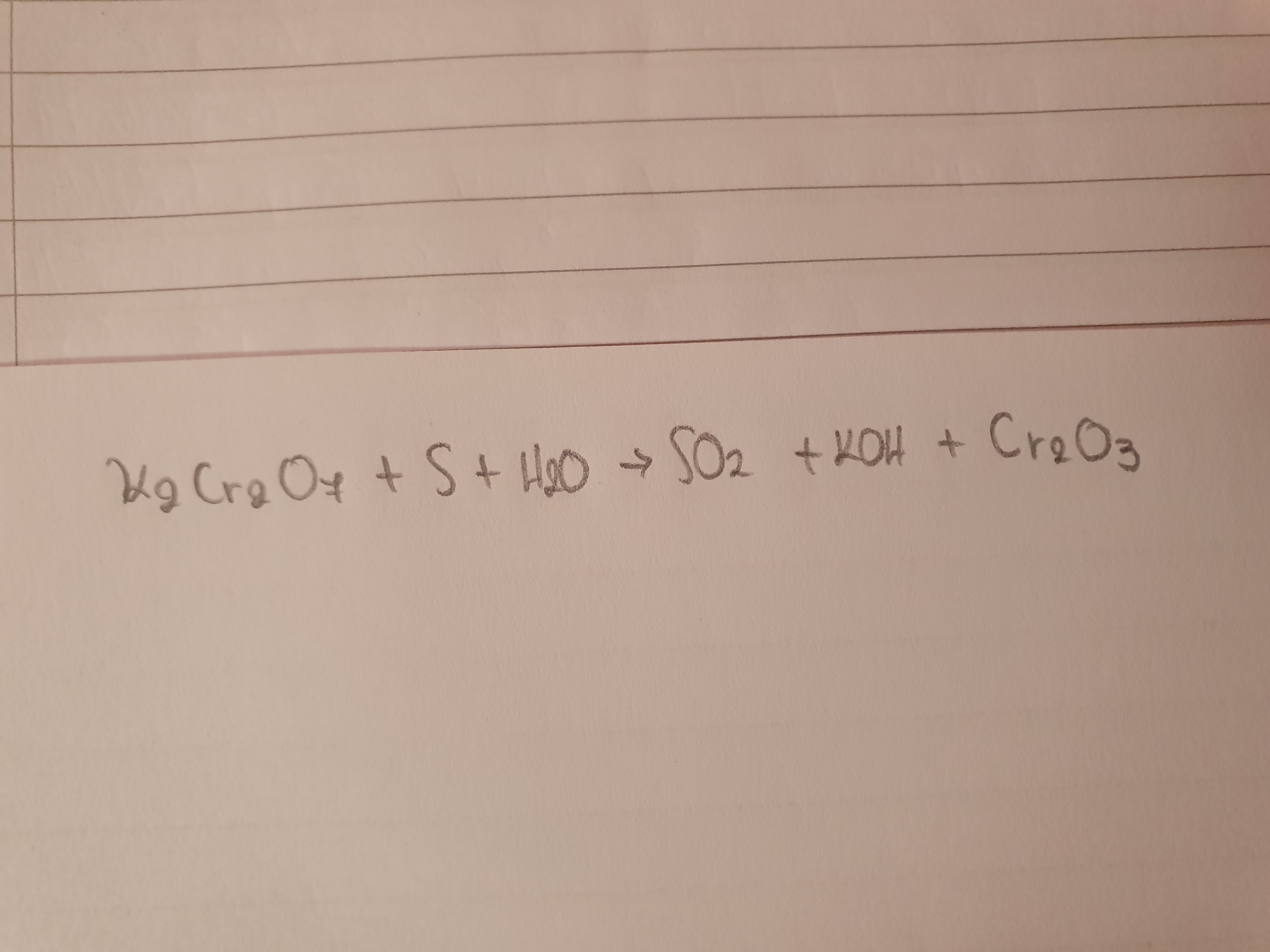 20230119_121429.jpg