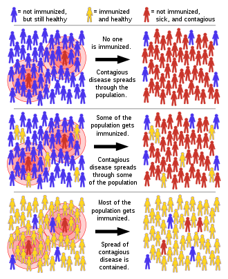 330px-Herd_immunity.svg.png