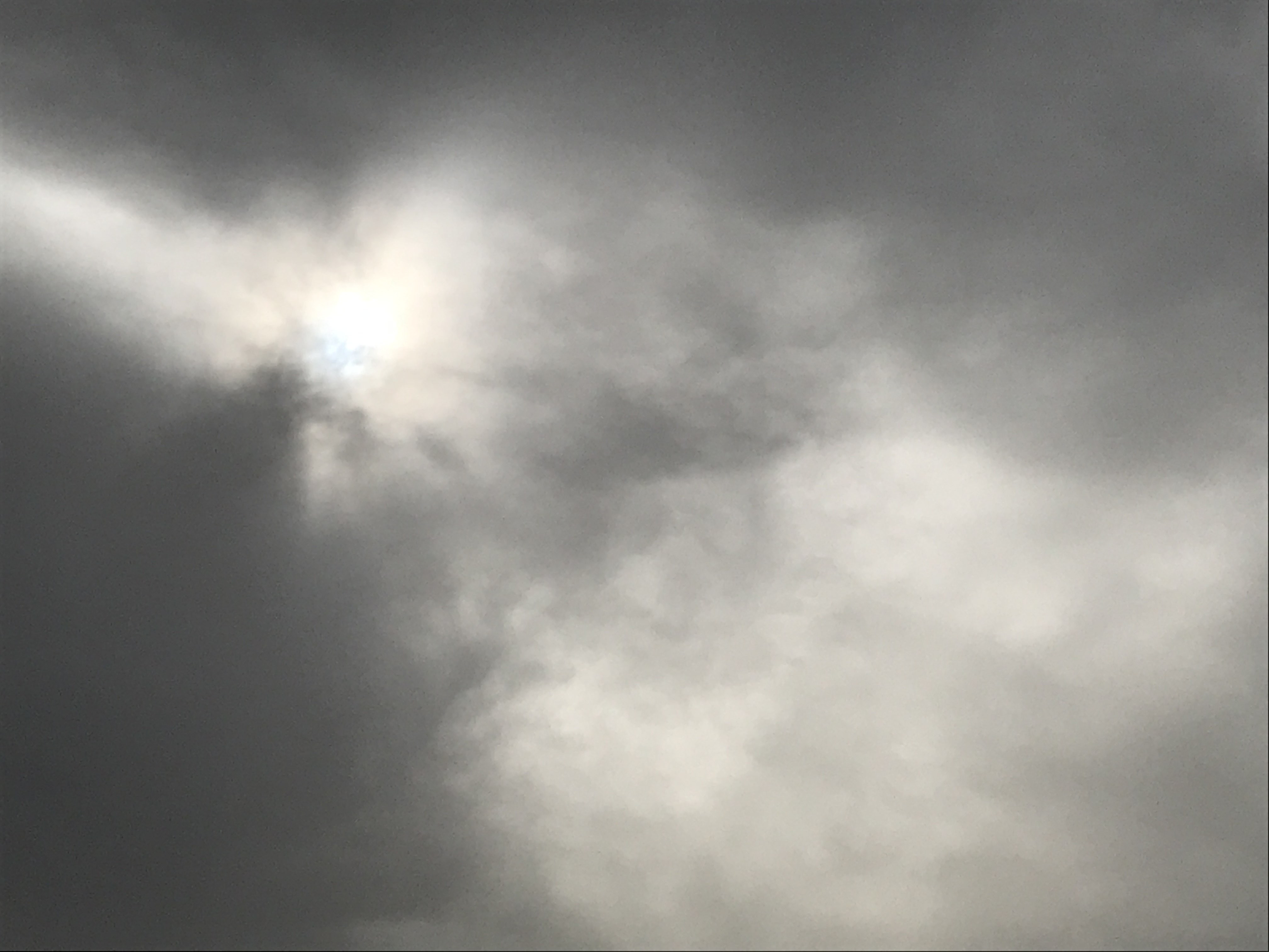 636D922E-D7A0-46E9-8908-6F0A3E0F0AB3.jpeg
