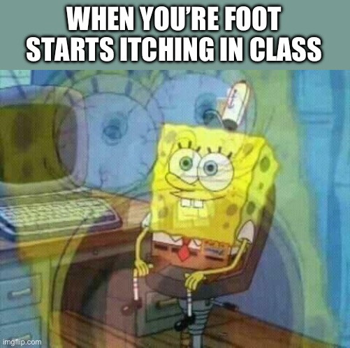 81za82.jpg