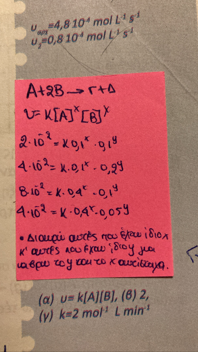 D4B866DD-C1EC-4397-9F08-50E744E0B3D0.jpeg