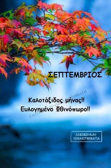 fd5170fe05cd0c3cc0545e47d3771880.jpg