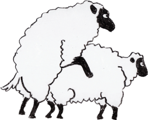 image0.png