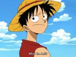 luffy4.jpg