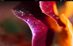 Screenshot from 2012-12-11 01:12:33.png