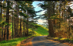 Screenshot from 2013-06-04 08:52:27.png