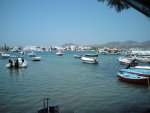 DSC01238.jpg DSC01238.jpg