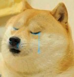 Doge-Crying.jpg