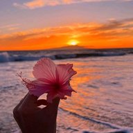 Tropical Peace .
