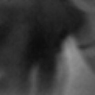 Nascentes morimur