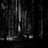 werwolf14