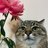 catlover033