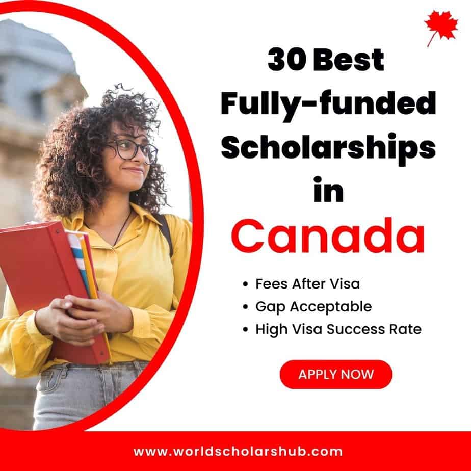 worldscholarshub.com